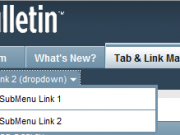 Tab and Link Manager Lite 2.png